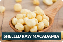 Bulk Raw Shelled Macadamias